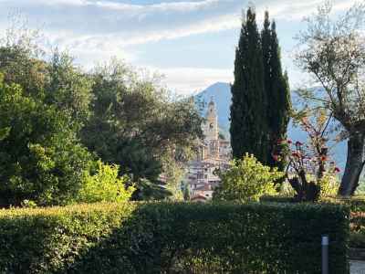 Garden of the room overlooking the bell tower