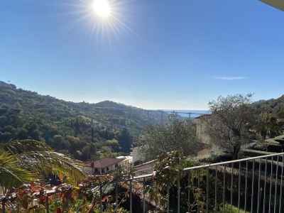 
Panoramic view